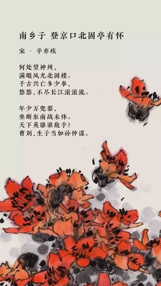 月光影视